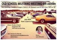 Old school Mustang meeting
